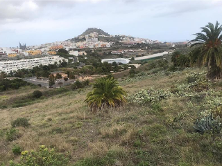 Suelo rústico en Arucas (Las Palmas) 23