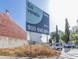 Suelo en Tárrega 24