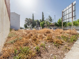 Suelo en Tárrega 47