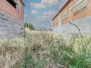 Partida Sports Travesers 26