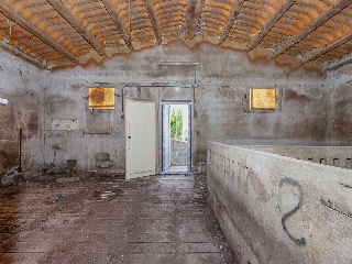 Partida Sports Travesers 31