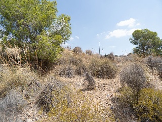 Suelo Urbano consolidado en El Esparragal - Murcia- 11