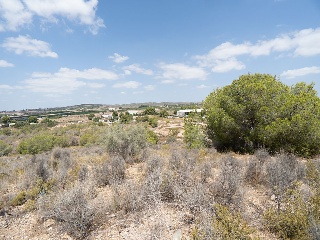 Suelo Urbano consolidado en El Esparragal - Murcia- 19