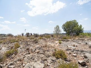 Suelo Urbano consolidado en El Esparragal - Murcia- 21