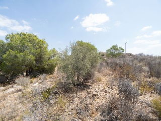 Suelo Urbano consolidado en El Esparragal - Murcia- 22