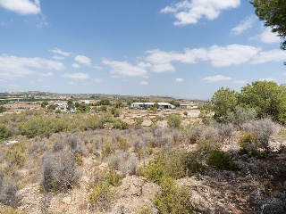 Suelo Urbano consolidado en El Esparragal - Murcia- 25
