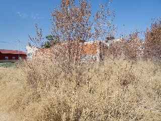 Suelo en C/ Quipar - Murcia - 19