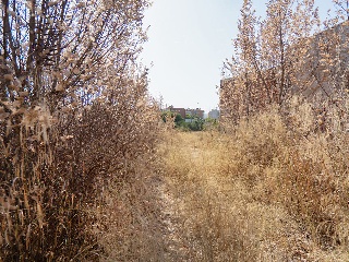 Suelo en C/ Quipar - Murcia - 24