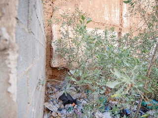 05417-0001 31