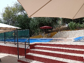 Casa cortijo con olivar 20