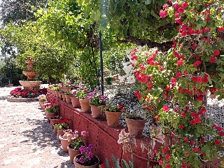 Casa cortijo con olivar 24