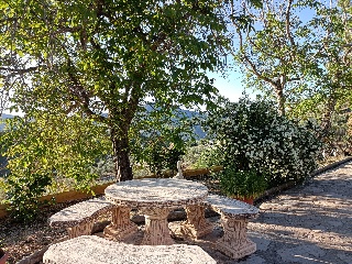 Casa cortijo con olivar 25