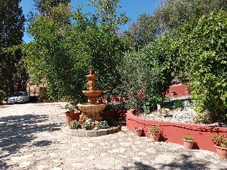 Casa cortijo con olivar 26