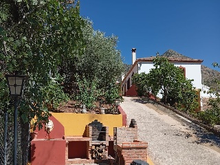 Casa cortijo con olivar 27
