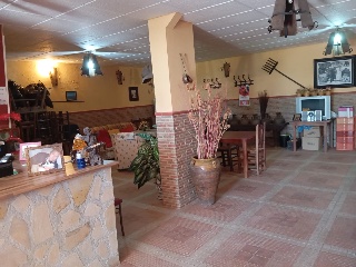 Casa cortijo con olivar 29