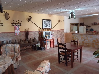 Casa cortijo con olivar 31