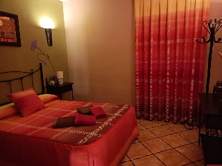 Casa cortijo con olivar 39