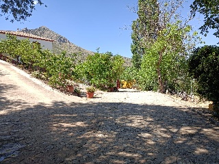 Casa cortijo con olivar 48