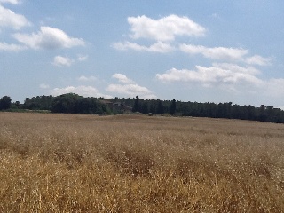 Otros en venta en Saus de 128  m²