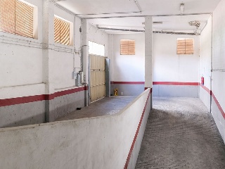 Promoción de viviendas y garajes en C/ Alcalde Bravo García - Salamanca -  2