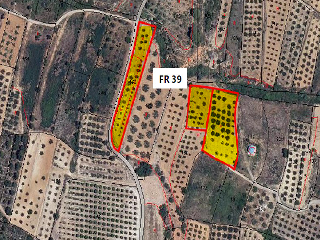 Otros en venta en Pinet de 6232  m²