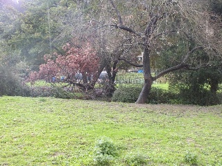 Suelo en Alonsotegi (Vizcaya) 7