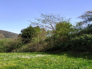 Suelo en Alonsotegi (Vizcaya) 14
