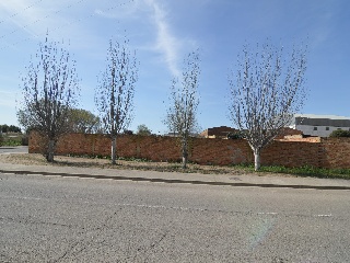 Suelo en Ribaforada (Navarra) 7