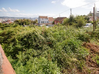 01684-0001 25