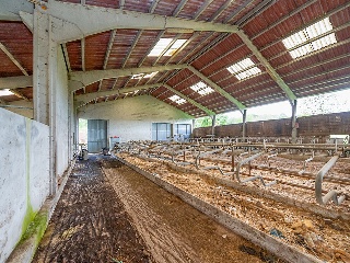Nave industrial en Larraún 21