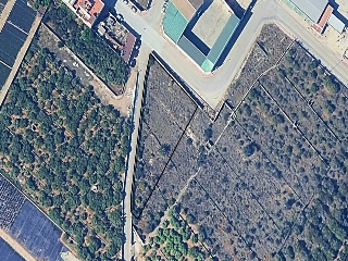 Suelo urbano en CR Polígono 12, Llaurí (Valencia) 14