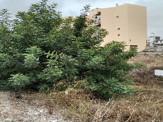 Suelo urbano en L´Alcúdia de Crespins 5