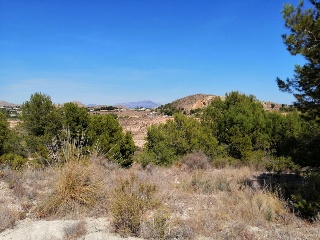 Calle Cobre-Garroferal 3