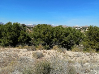 Calle Cobre-Garroferal 4