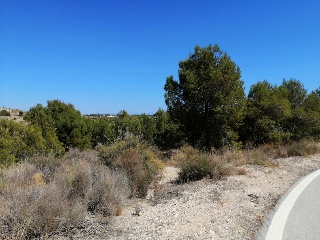 Calle Cobre-Garroferal 5