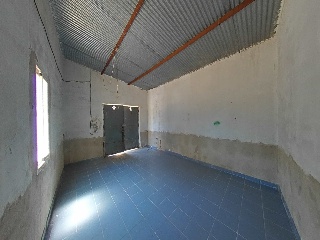 Botoa 12