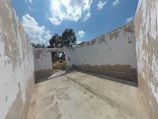 Botoa 22