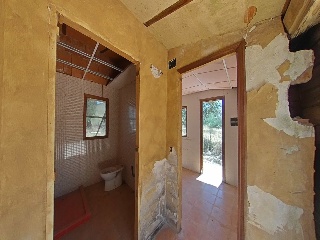 Botoa 25
