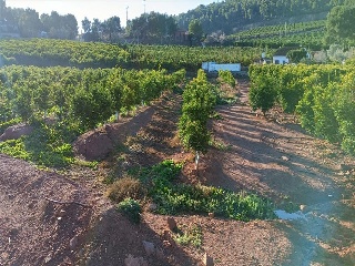 Pisos banco Torres Torres