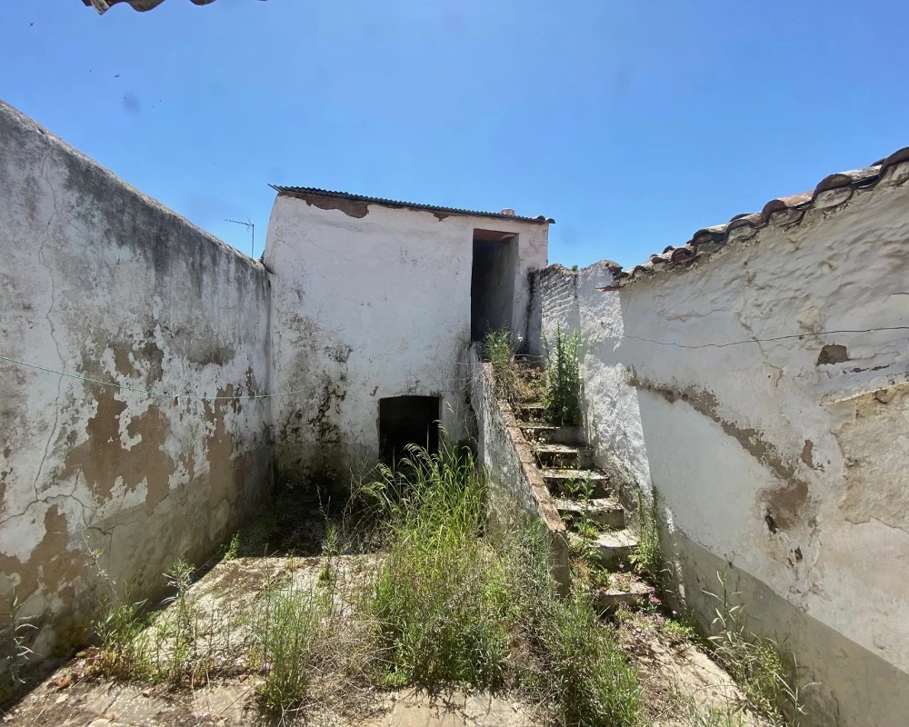 Toledillo