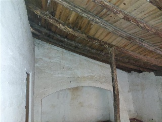 Toledillo 14