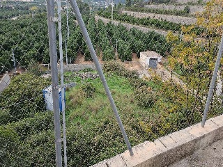Corona La 2