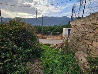 Corona La 3