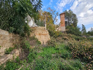 Corona La 16
