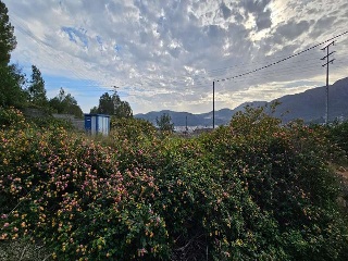 Corona La 18