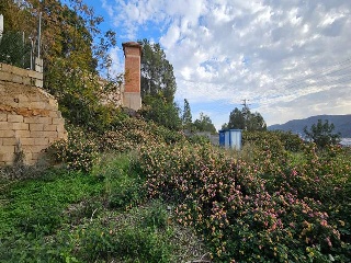 Corona La 20