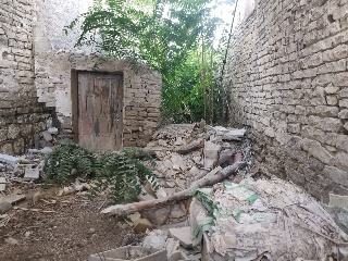 Alta 5