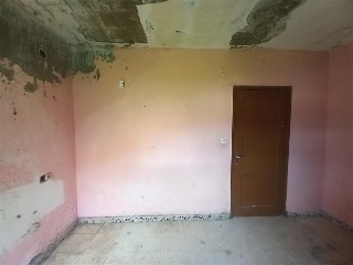 Viros Os-Nu 15