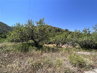 Otros en venta en Borriol