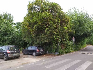 Otros en venta en Murcia